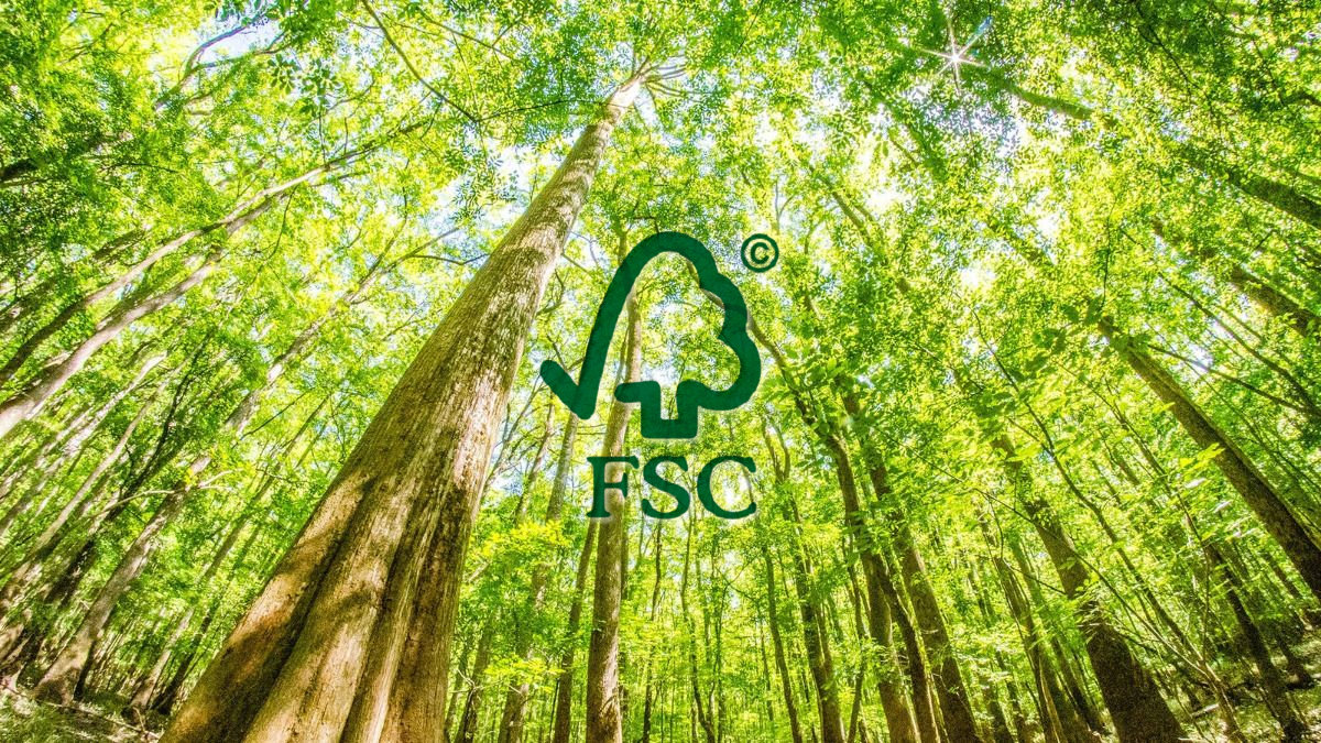 Congaree 'Champion' Trees, Synchronous Fireflies and More.jpg Congaree 'Champion' Trees, Synchronous Fireflies and More.jpg