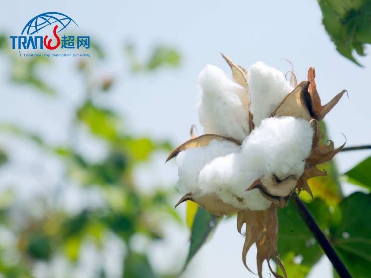 CLEAN COTTON Laundry Soap Mason Jar & Refill - Lightly Scented Refill.jpg CLEAN COTTON Laundry Soap Mason Jar & Refill - Lightly Scented Refill.jpg