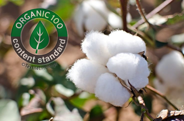 Cotton Fibers Types of Fabric Natural Fibers.jpg Cotton Fibers Types of Fabric Natural Fibers.jpg