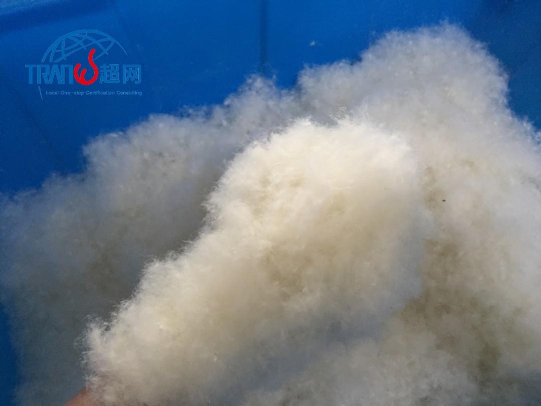 羽毛 羽绒的搜索结果_百度图片搜索-8.jpg 羽毛 羽绒的搜索结果_百度图片搜索-8.jpg