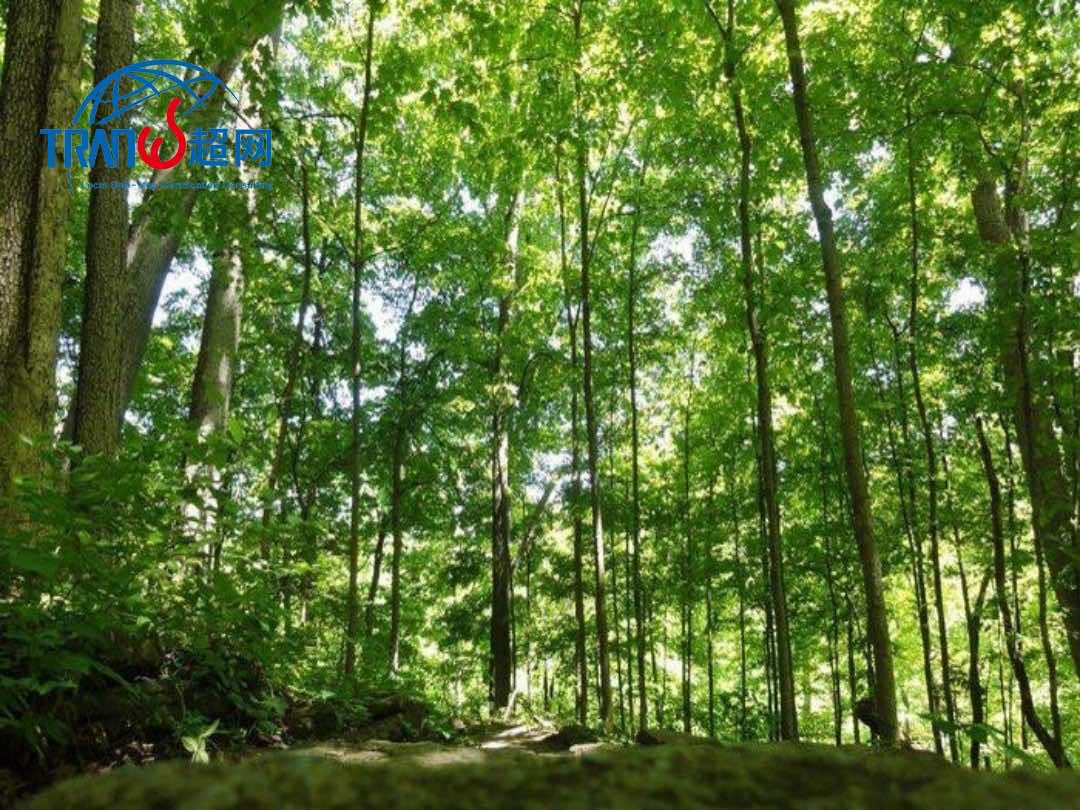 LZB0CHGN427KN.jpg LZB0CHGN427KN.jpg