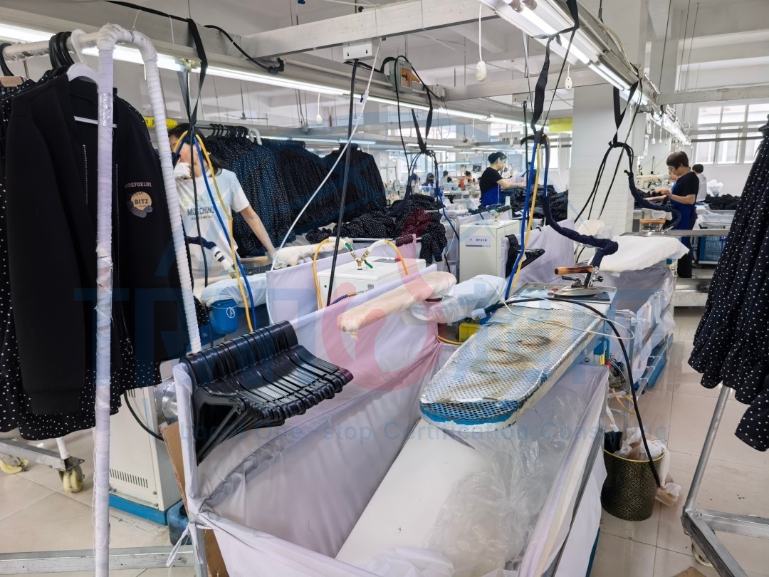 IMG_20250926_141716(1).jpg IMG_20250926_141716(1).jpg