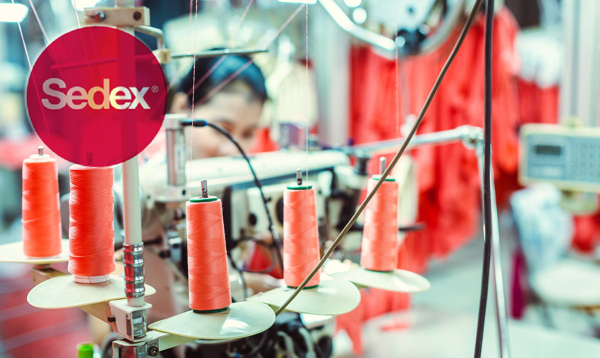 Global] 75-hour working week for employees of Shein suppliers – G.jpg